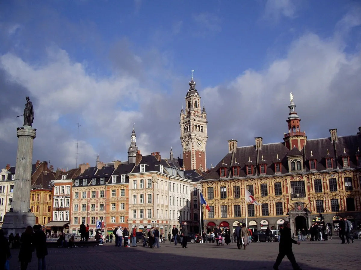 Vue de Lille