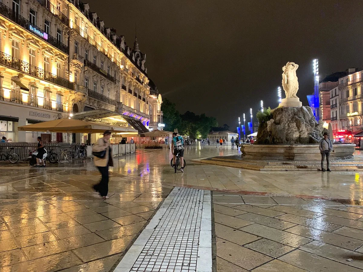 Vue de Montpellier