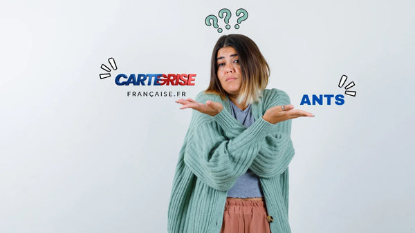 ANTS ou service privé : que choisir pour sa carte grise ?