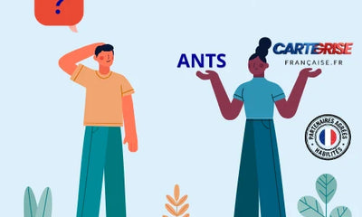 ANTS ou service privé : que choisir pour sa carte grise ?