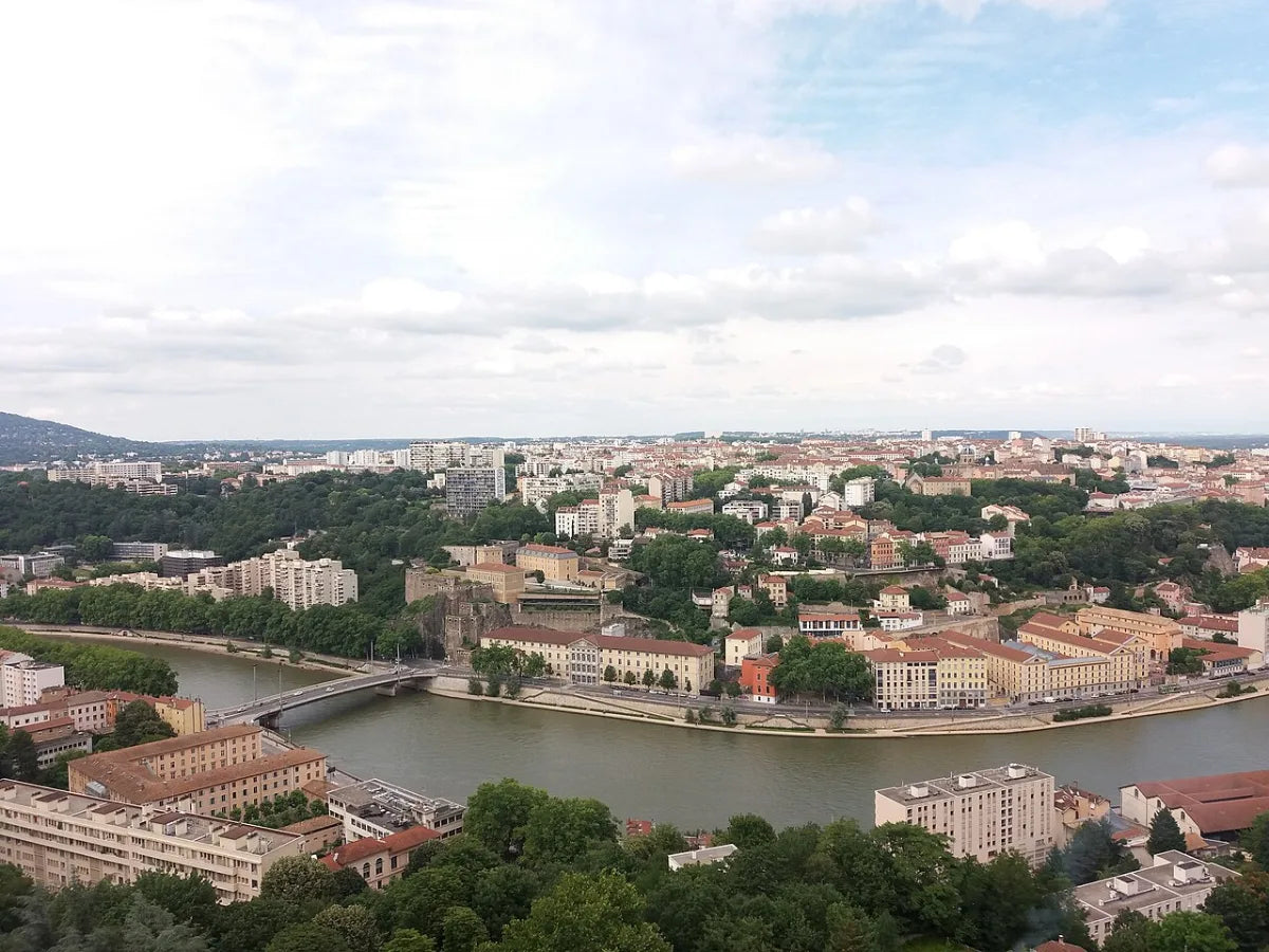 Vue de Lyon