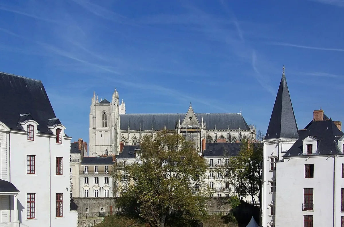 Vue de Nantes