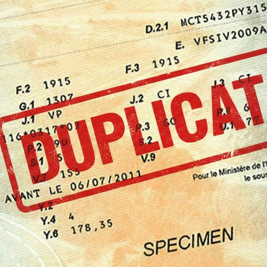duplicata carte grise 